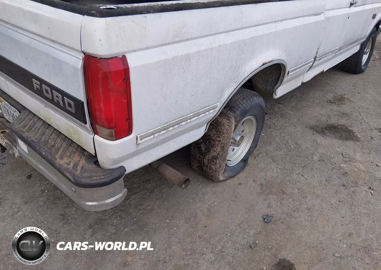 1995 Ford F150 VIN:1FTEX14H0SKB07581 - 6