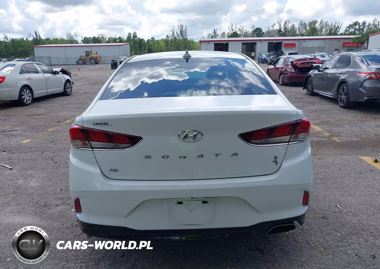 2019 Hyundai Sonata Se VIN:5NPE24AF6KH814850 - 17