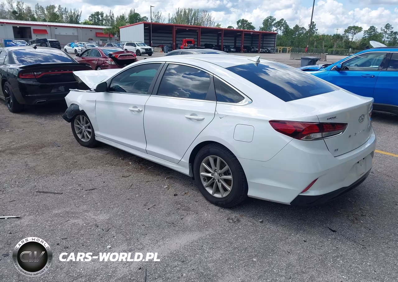 2019 Hyundai Sonata Se VIN:5NPE24AF6KH814850 - 3