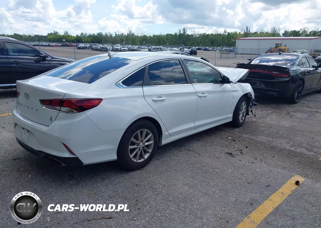 2019 Hyundai Sonata Se VIN:5NPE24AF6KH814850 - 4