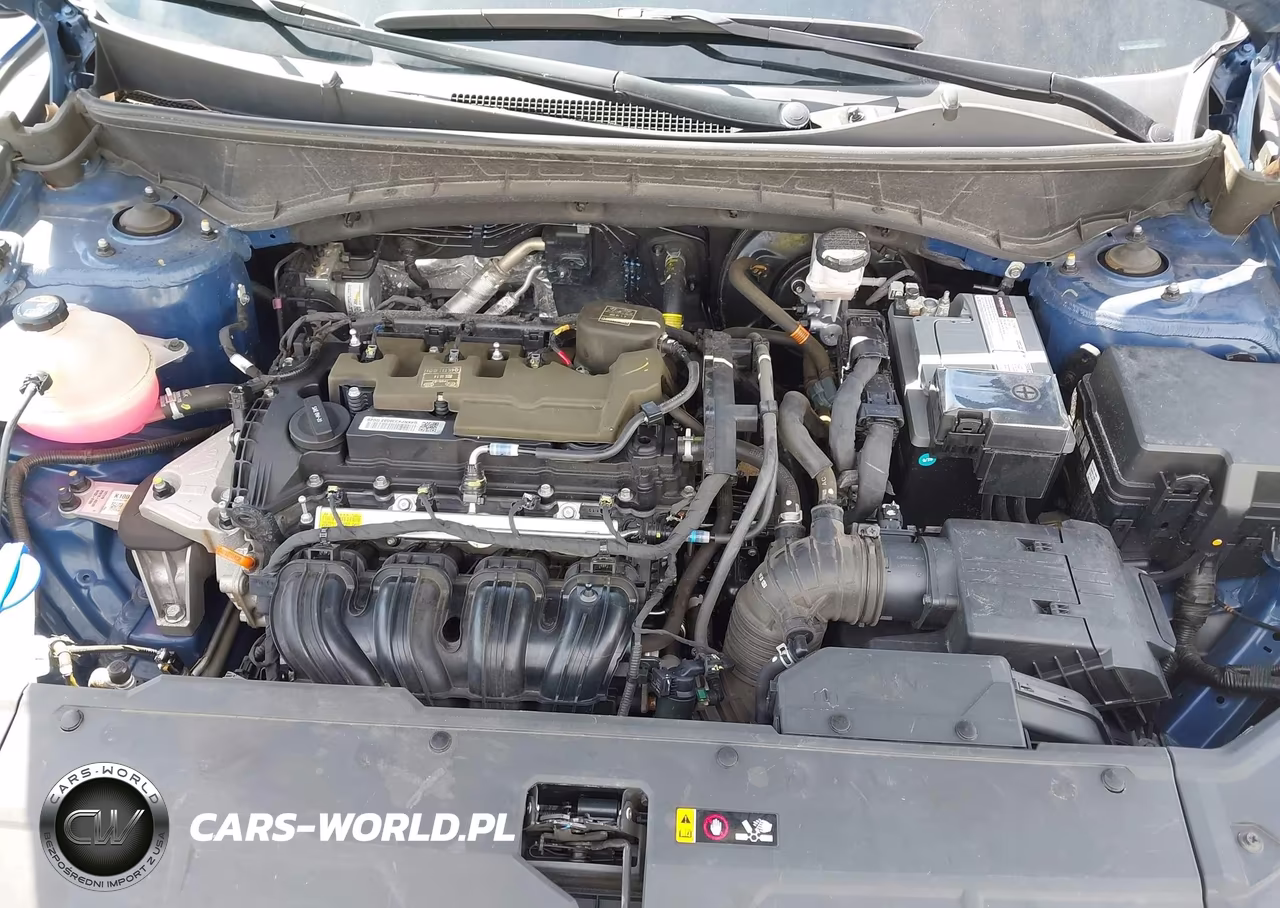 2024 Hyundai Tucson Sel VIN:5NMJBCDE4RH351254 - 10