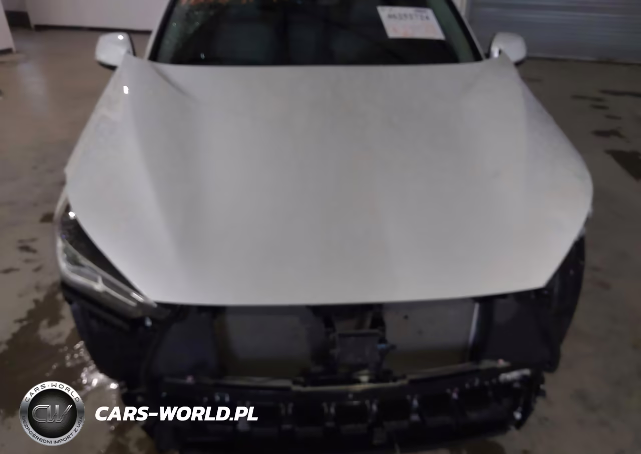 2023 Infiniti Qx50 Luxe VIN:3PCAJ5BA7PF103092 - 6