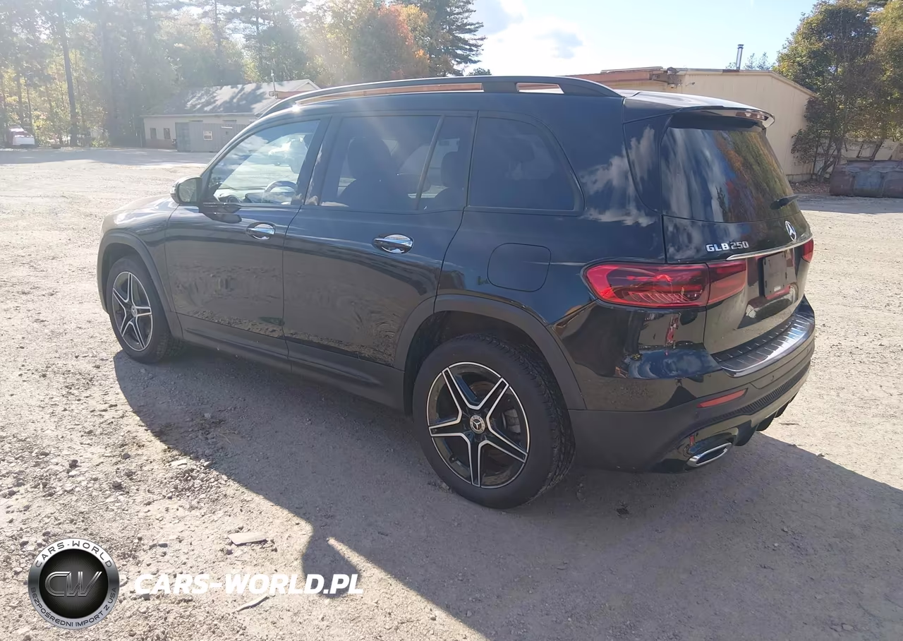 2024 Mercedes-Benz Glb 250 4Matic VIN:W1N4M4HB1RW359430 - 3