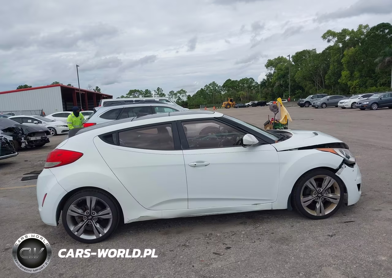 2013 Hyundai Veloster Base W-Gray VIN:KMHTC6AD2DU107490 - 13