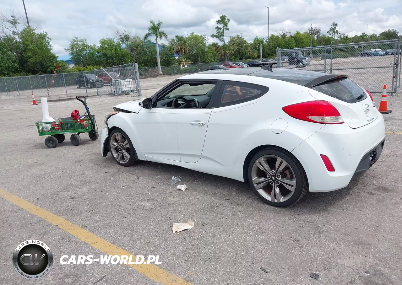 2013 Hyundai Veloster Base W-Gray VIN:KMHTC6AD2DU107490 - 3