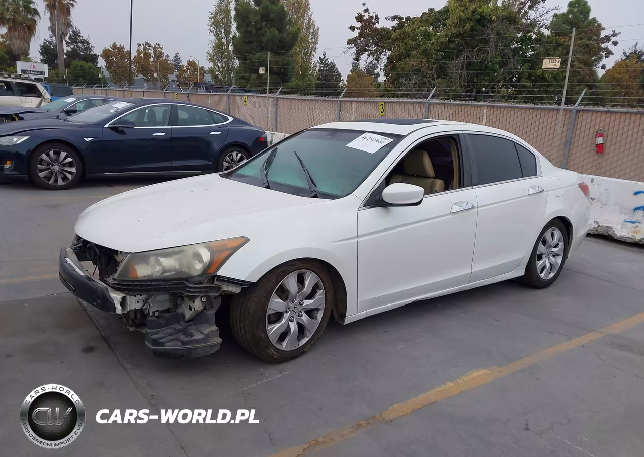 2009 Honda Accord Sdn Ex-L VIN:1HGCP36819A030236 - 2