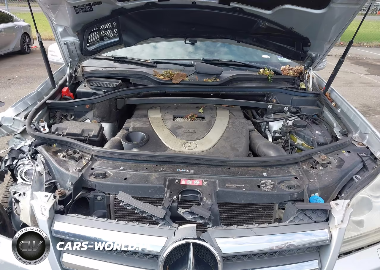 2011 Mercedes-Benz Gl 450 4Matic VIN:4JGBF7BE4BA647860 - 10