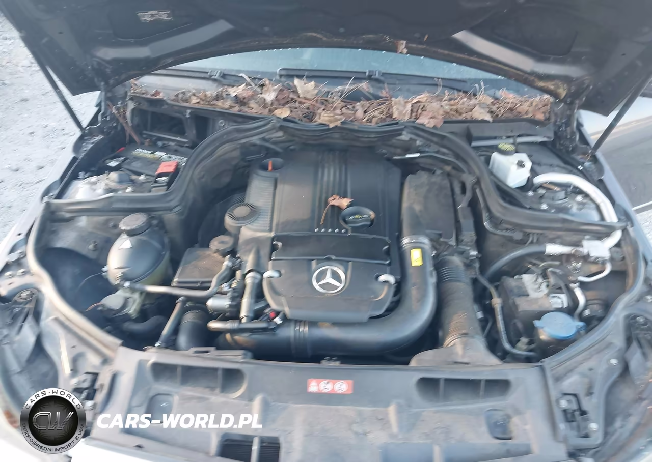 2013 Mercedes-Benz C 250 Sport VIN:WDDGF4HB4DR264825 - 10