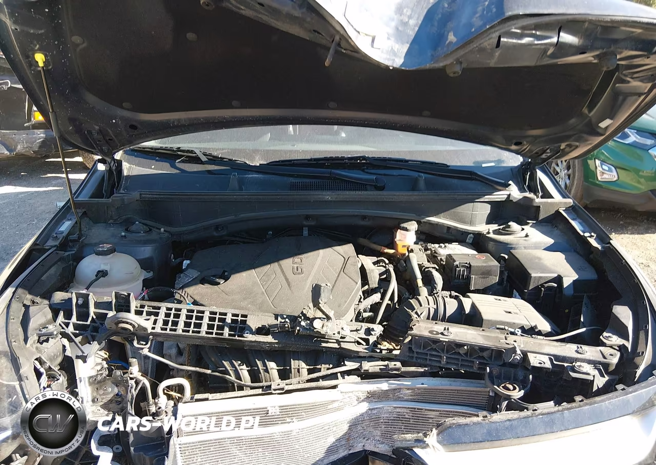 2023 Kia Sportage Ex VIN:5XYK3CAF1PG046476 - 10