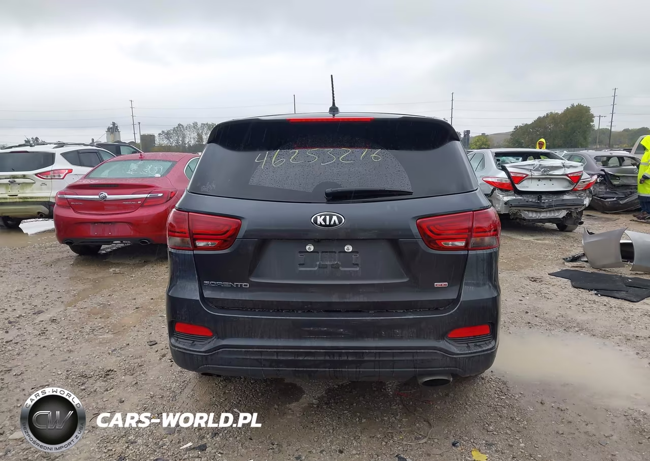 2019 Kia Sorento 2.4L Lx VIN:5XYPG4A32KG514181 - 17