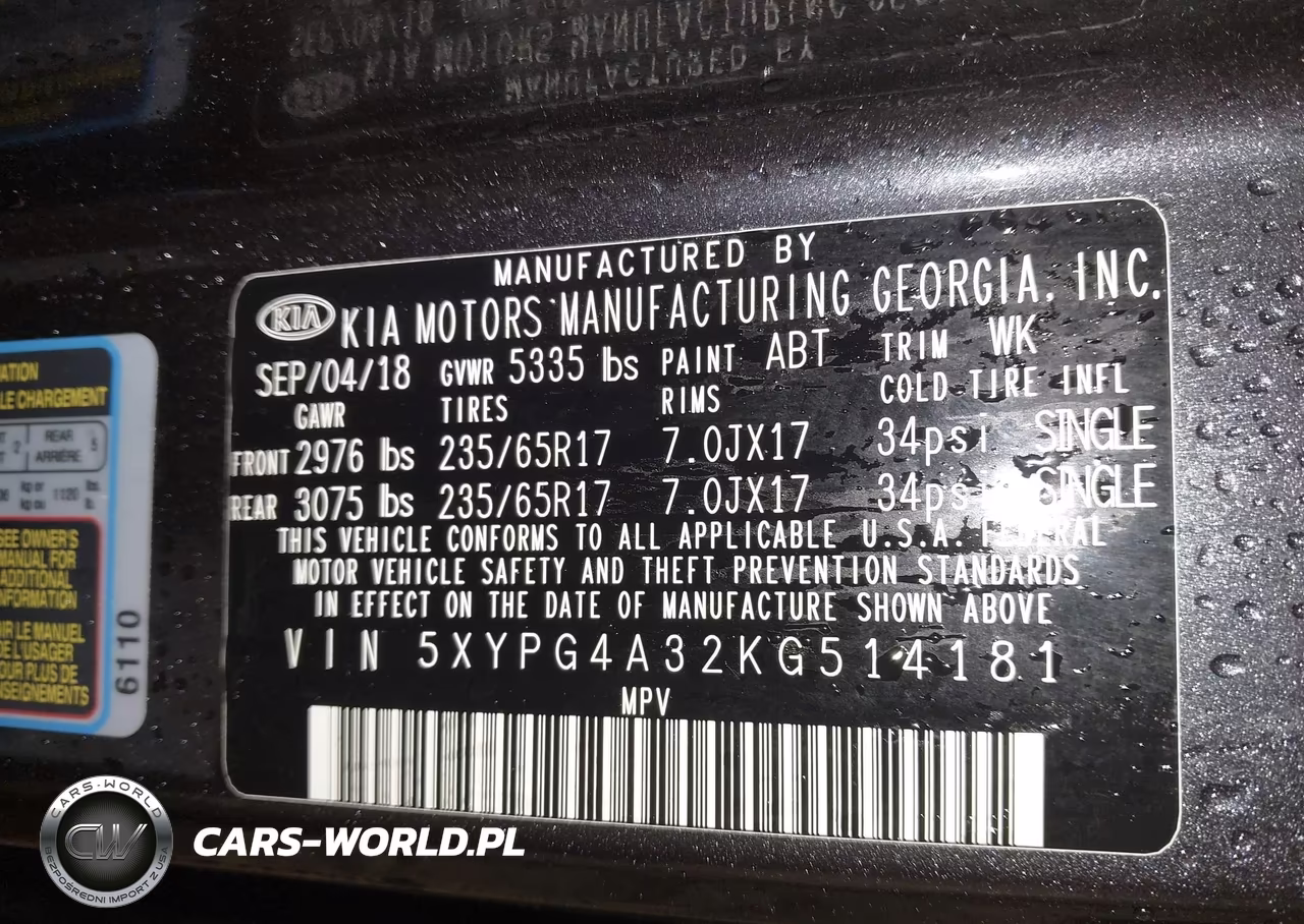 2019 Kia Sorento 2.4L Lx VIN:5XYPG4A32KG514181 - 9