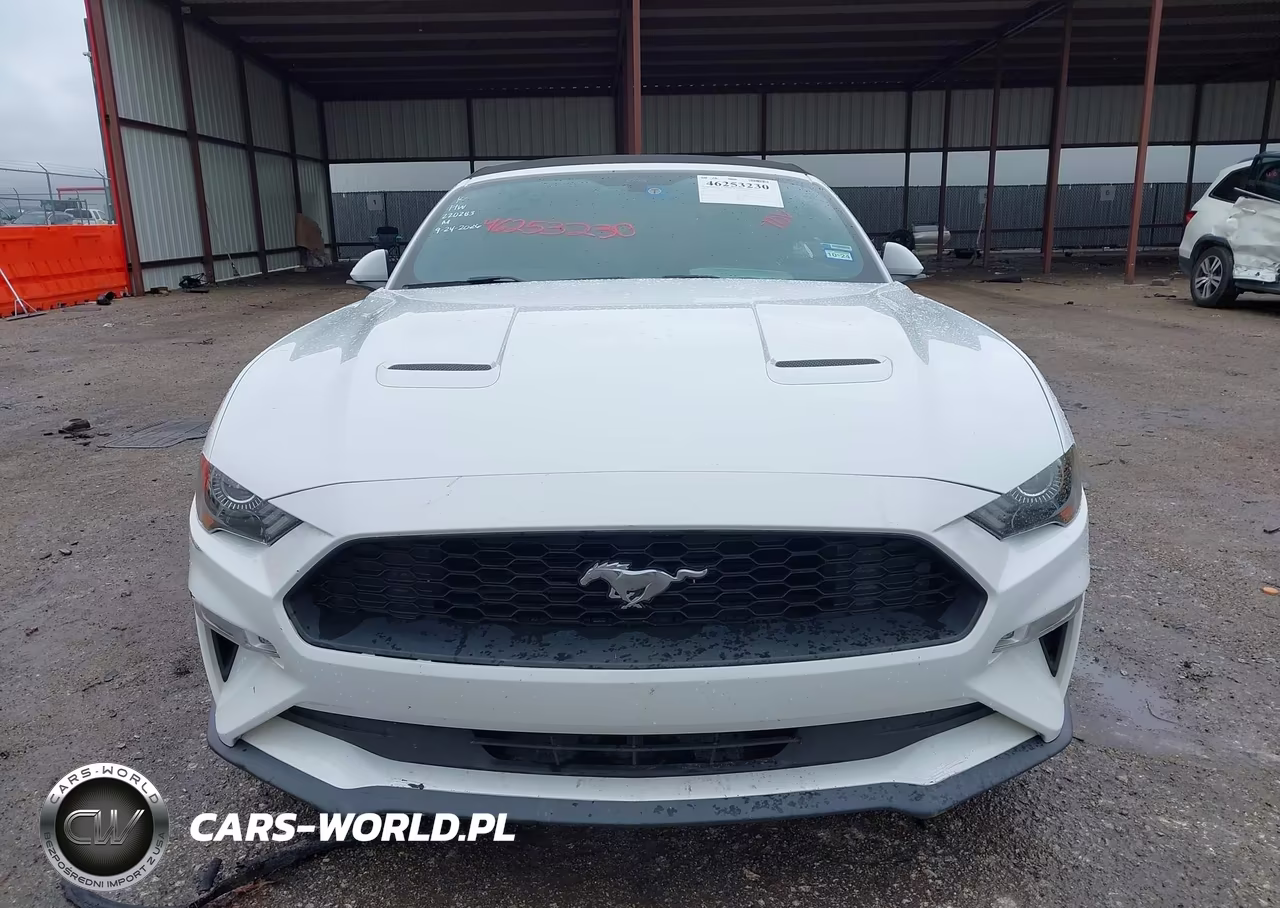 2018 Ford Mustang Ecoboost Premium VIN:1FATP8UH1J5132914 - 12