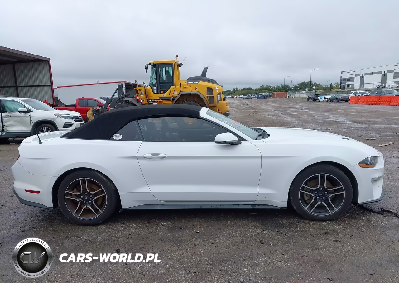 2018 Ford Mustang Ecoboost Premium VIN:1FATP8UH1J5132914 - 13