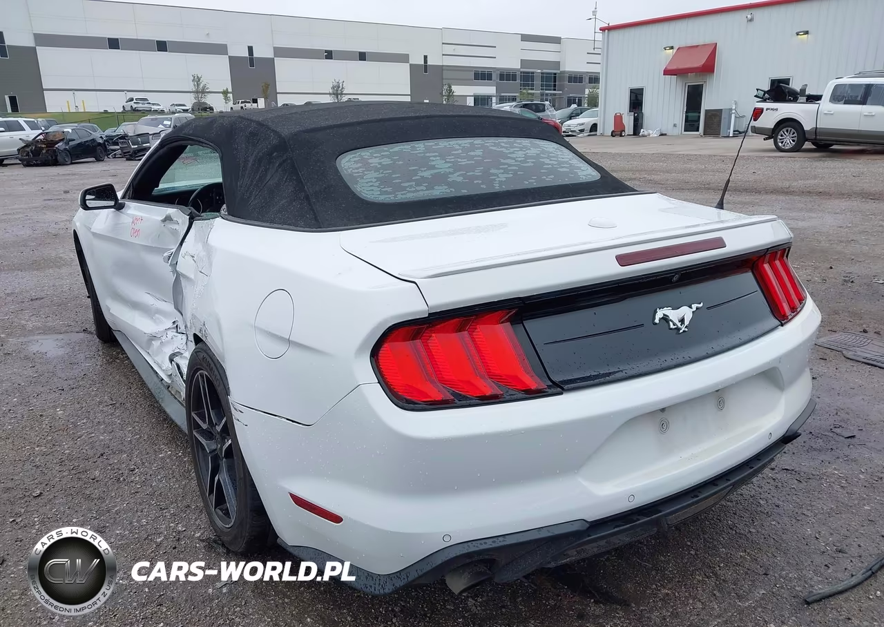2018 Ford Mustang Ecoboost Premium VIN:1FATP8UH1J5132914 - 3