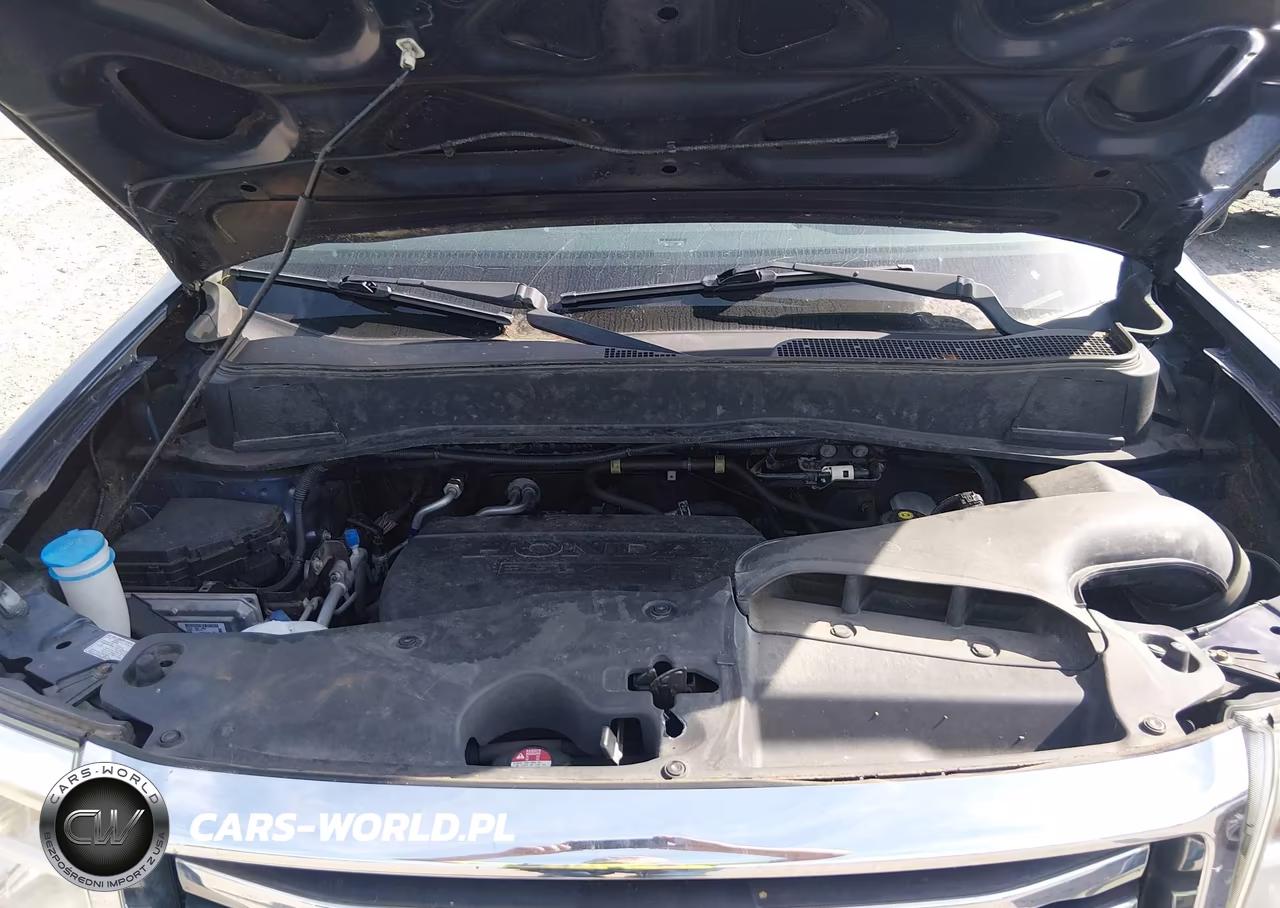 2014 Honda Pilot Ex-L VIN:5FNYF3H59EB018699 - 10
