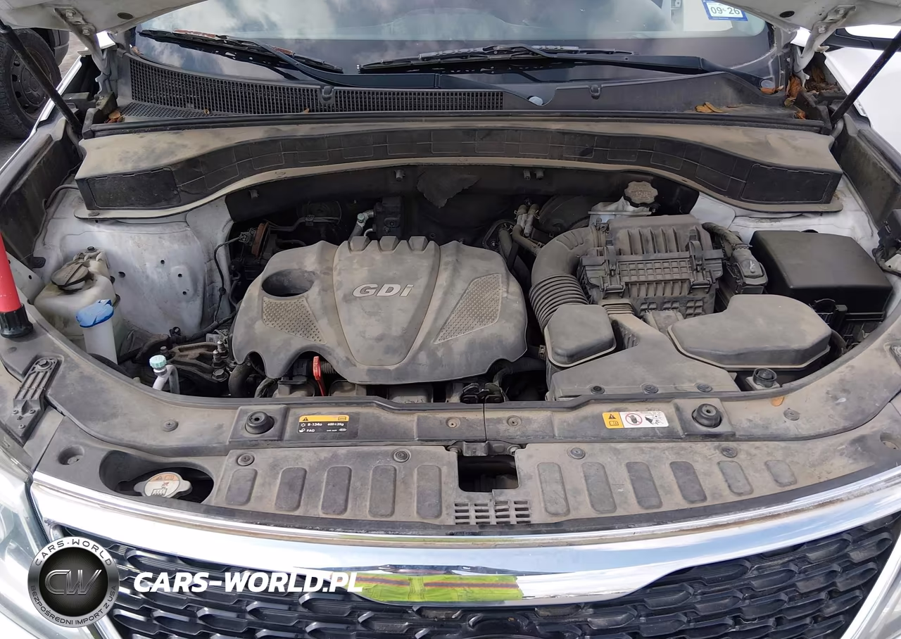 2014 Kia Sorento Lx VIN:5XYKT3A67EG435250 - 10