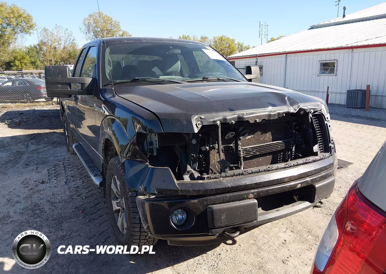 2012 Ford F-150 Stx VIN:1FTFX1EF7CFC03106 - 13