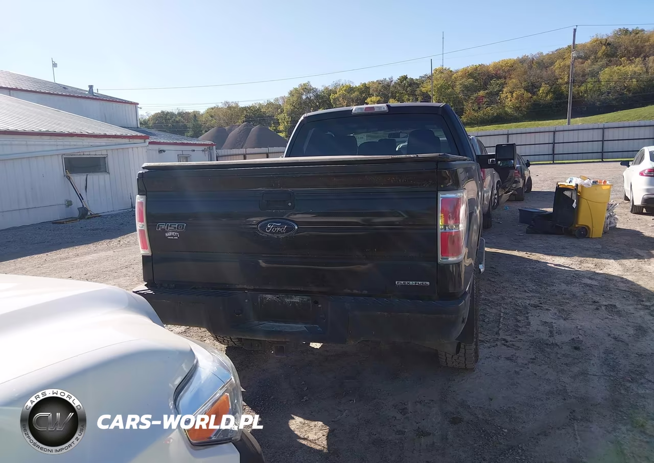2012 Ford F-150 Stx VIN:1FTFX1EF7CFC03106 - 17