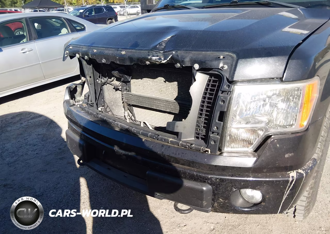 2012 Ford F-150 Stx VIN:1FTFX1EF7CFC03106 - 6