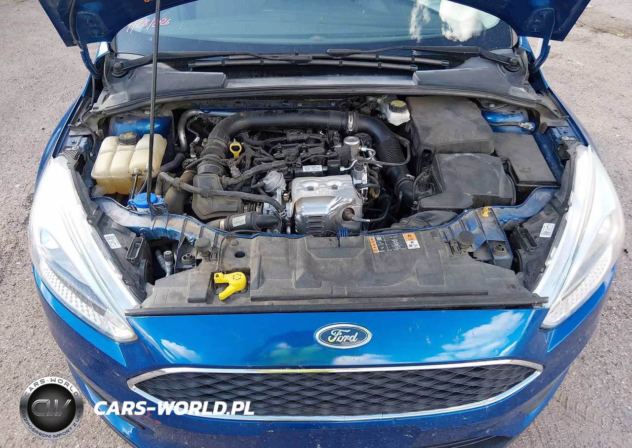 2018 Ford Focus Se VIN:1FADP3FE1JL304204 - 10