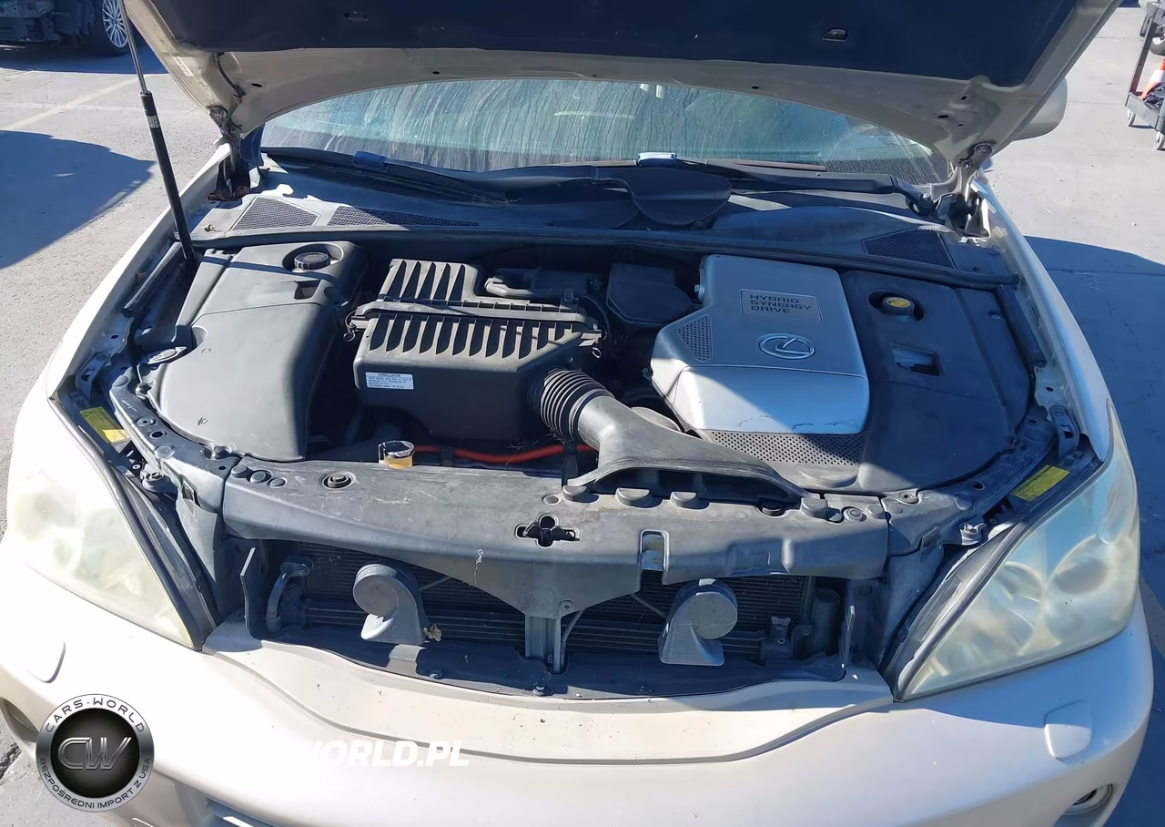 2006 Lexus Rx 400H VIN:JTJGW31U660003832 - 10