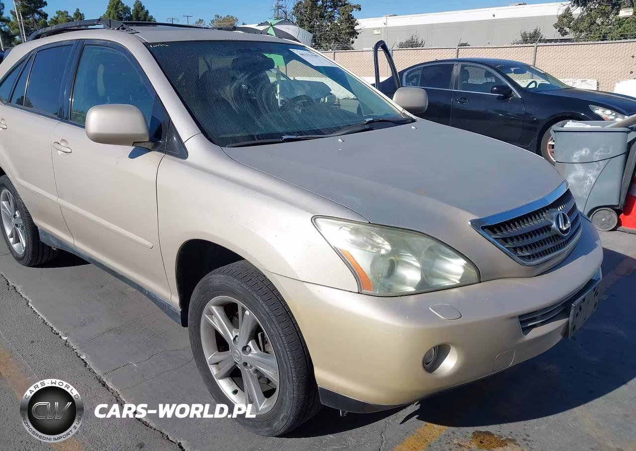 2006 Lexus Rx 400H VIN:JTJGW31U660003832 - 6
