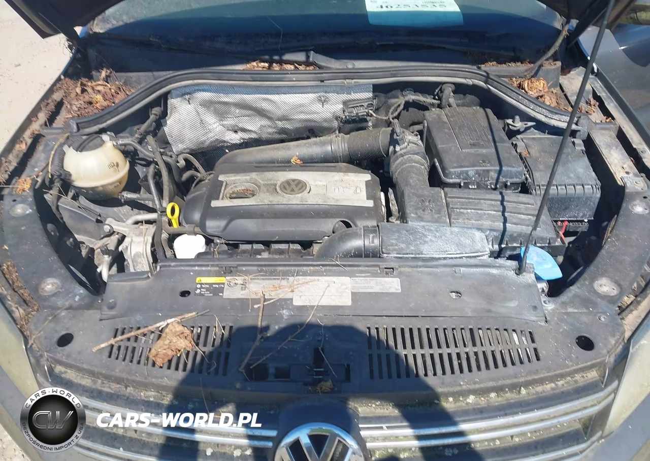 2014 Volkswagen Tiguan Se VIN:WVGAV3AX0EW605252 - 10