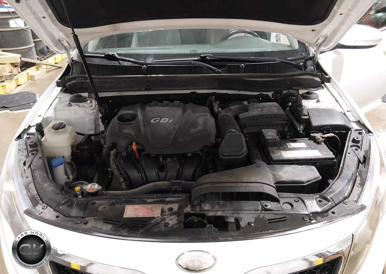 2013 Kia Optima Ex VIN:5XXGN4A72DG154569 - 10