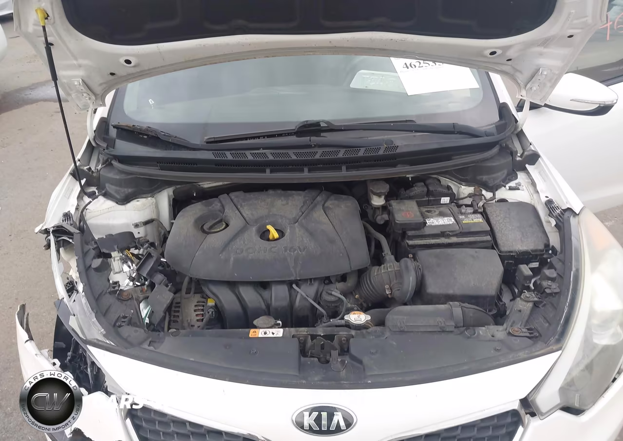 2015 Kia Forte Lx VIN:KNAFX4A6XF5393904 - 10