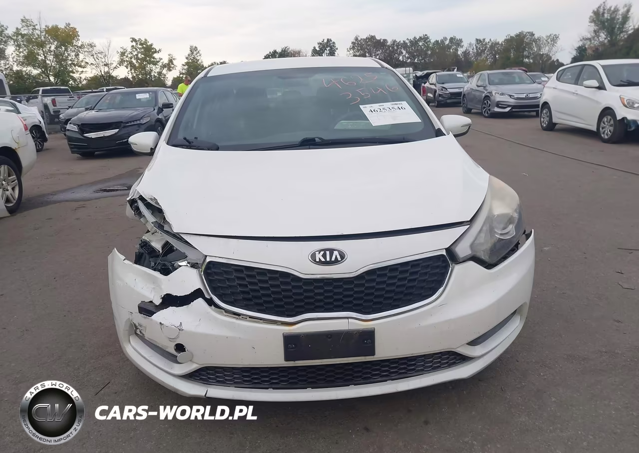 2015 Kia Forte Lx VIN:KNAFX4A6XF5393904 - 12