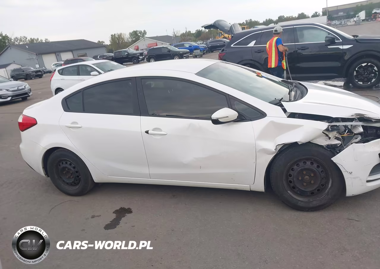 2015 Kia Forte Lx VIN:KNAFX4A6XF5393904 - 13
