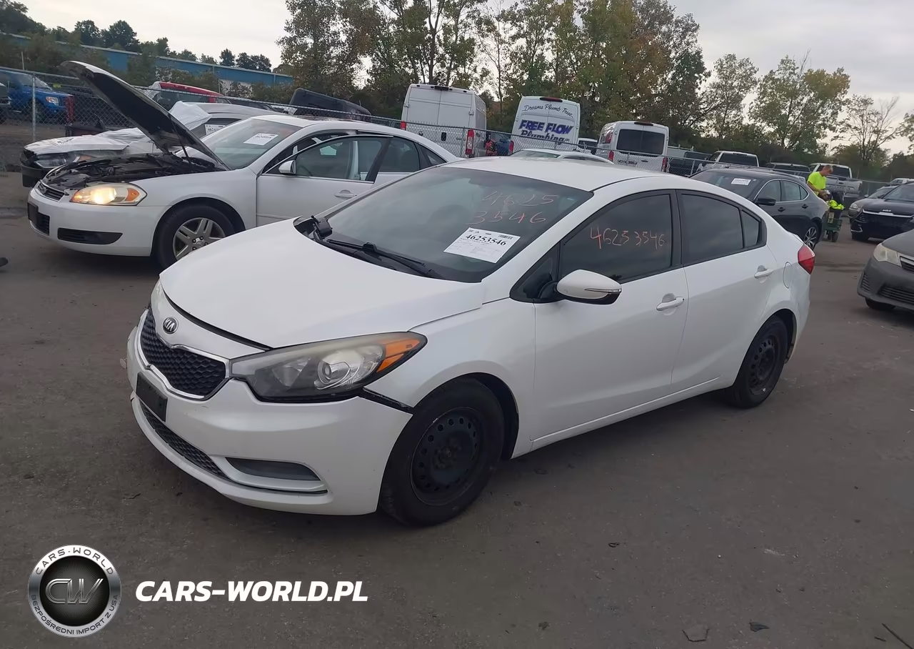 2015 Kia Forte Lx VIN:KNAFX4A6XF5393904 - 2
