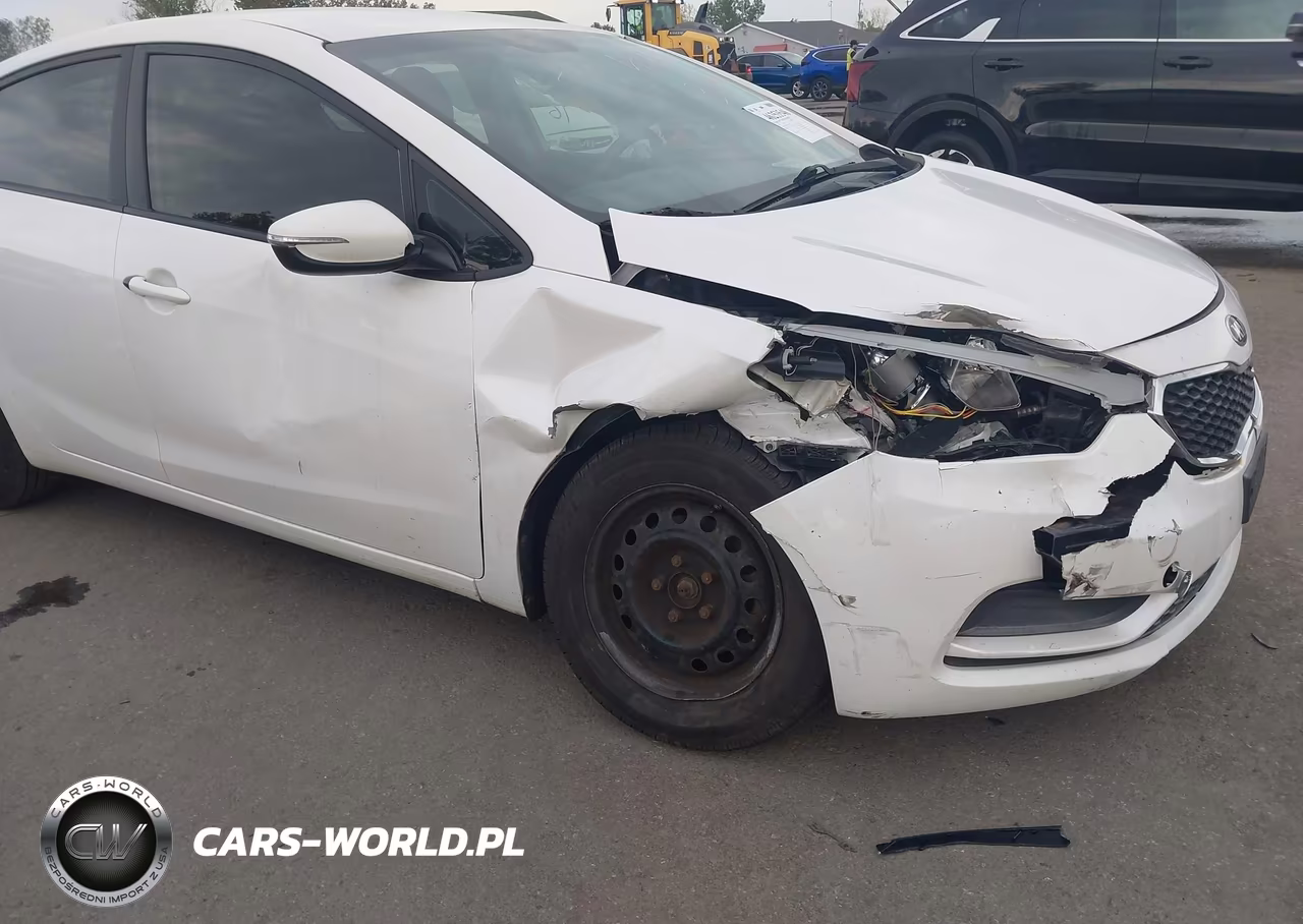 2015 Kia Forte Lx VIN:KNAFX4A6XF5393904 - 6