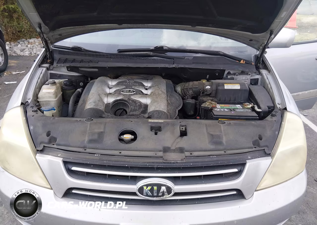 2006 Kia Sedona Ex-Lx VIN:KNDMB233566025690 - 10