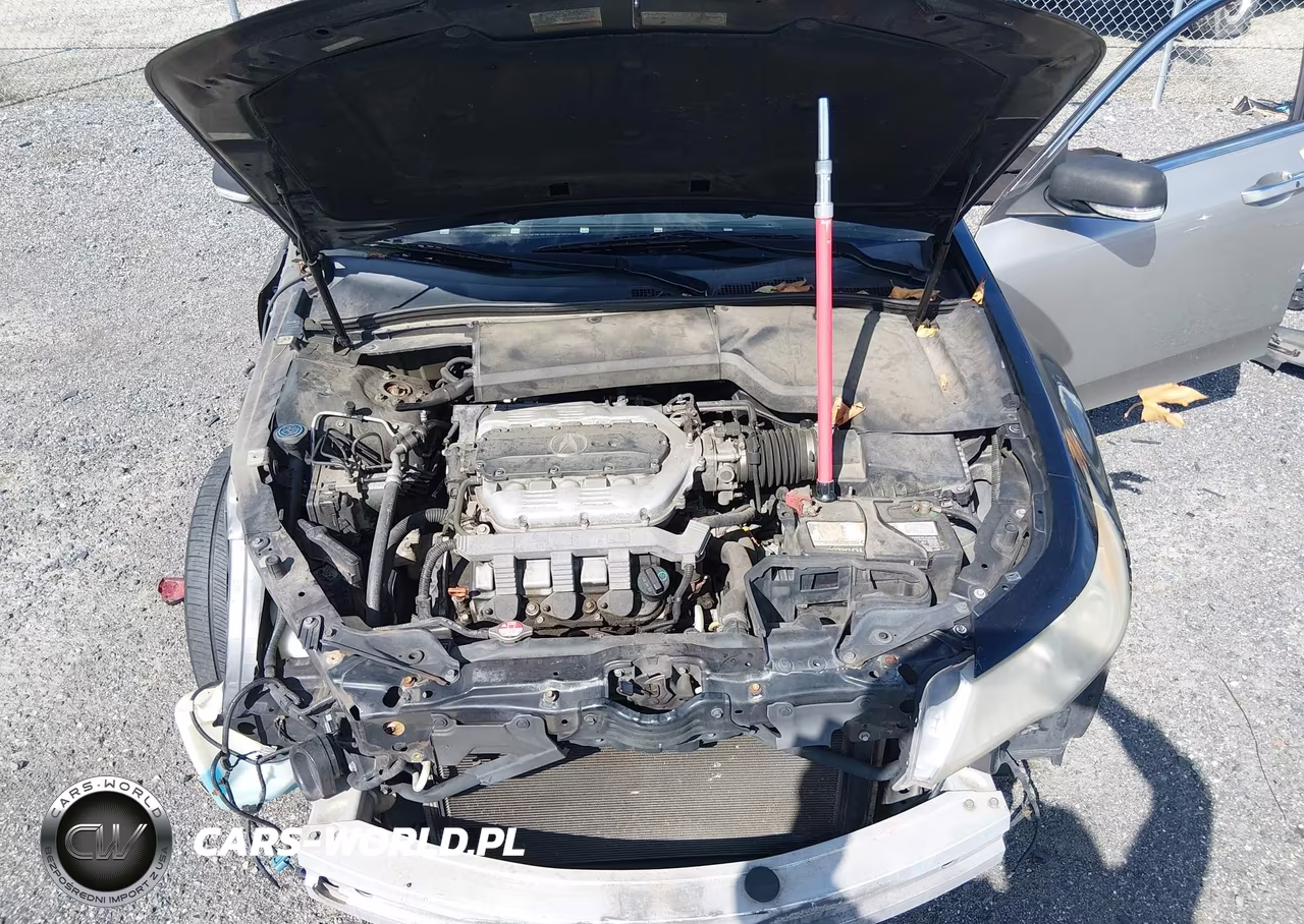 2009 Acura Tl 3.5 VIN:19UUA86539A010885 - 10