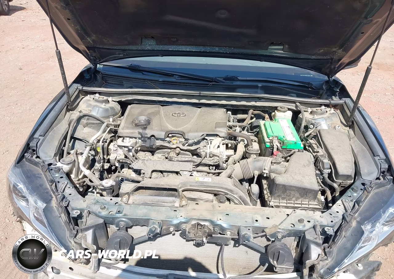 2019 Toyota Camry Se VIN:4T1B11HK9KU289484 - 10
