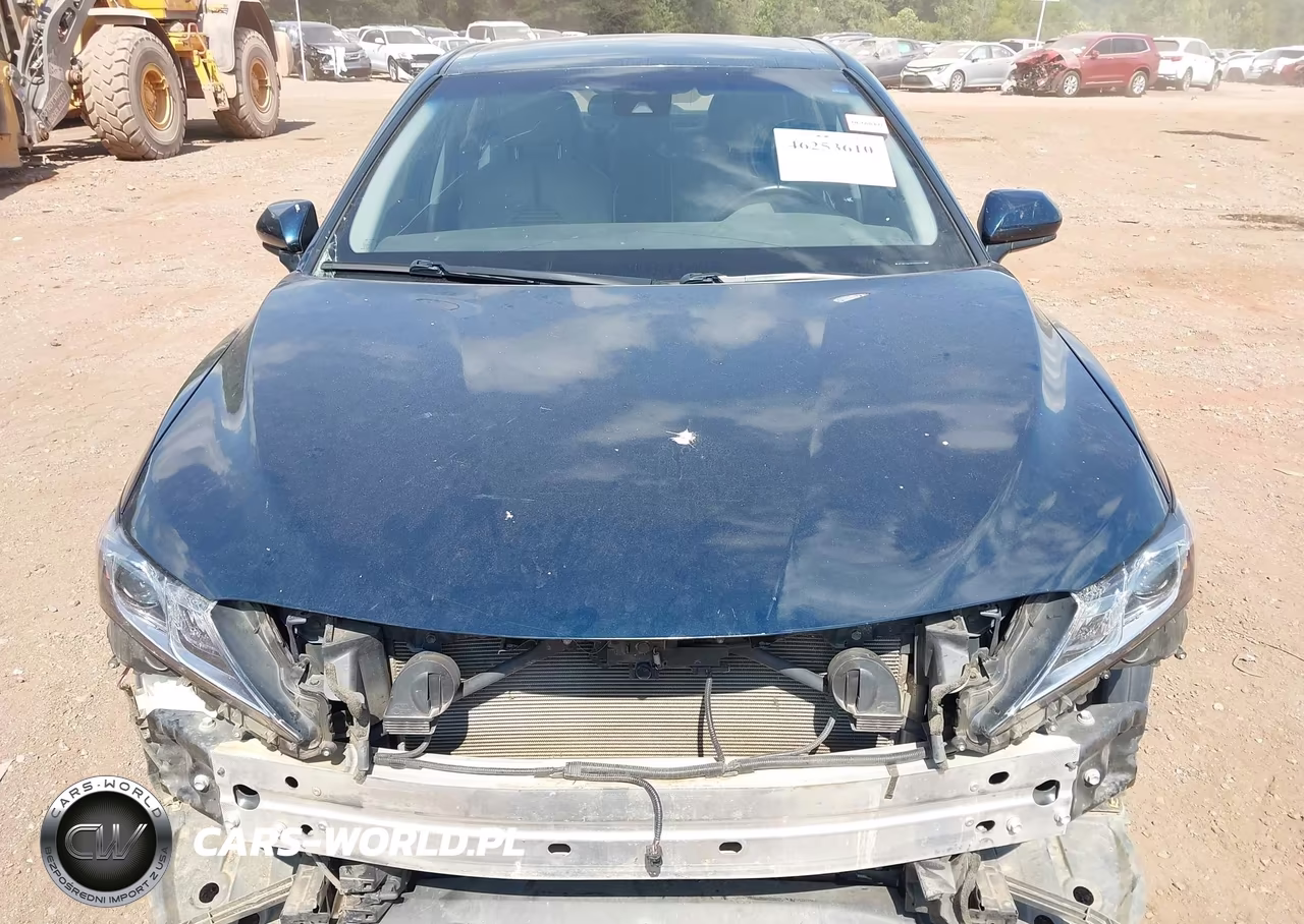 2019 Toyota Camry Se VIN:4T1B11HK9KU289484 - 12