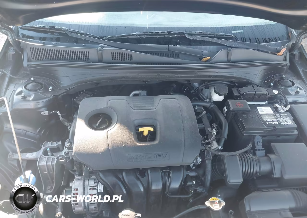 2019 Kia Forte Fe VIN:3KPF24AD2KE027336 - 10