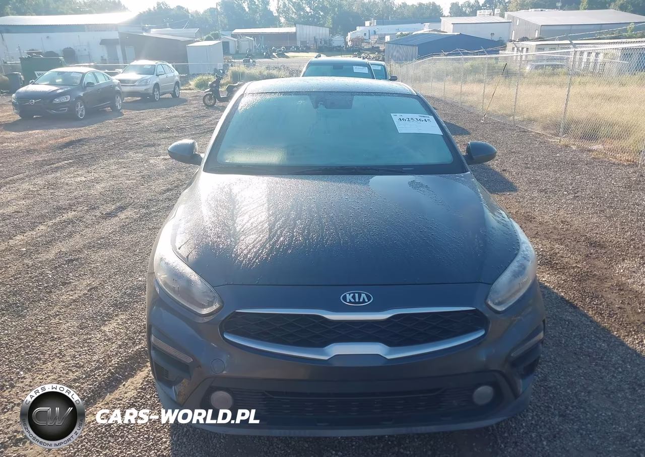 2019 Kia Forte Fe VIN:3KPF24AD2KE027336 - 12