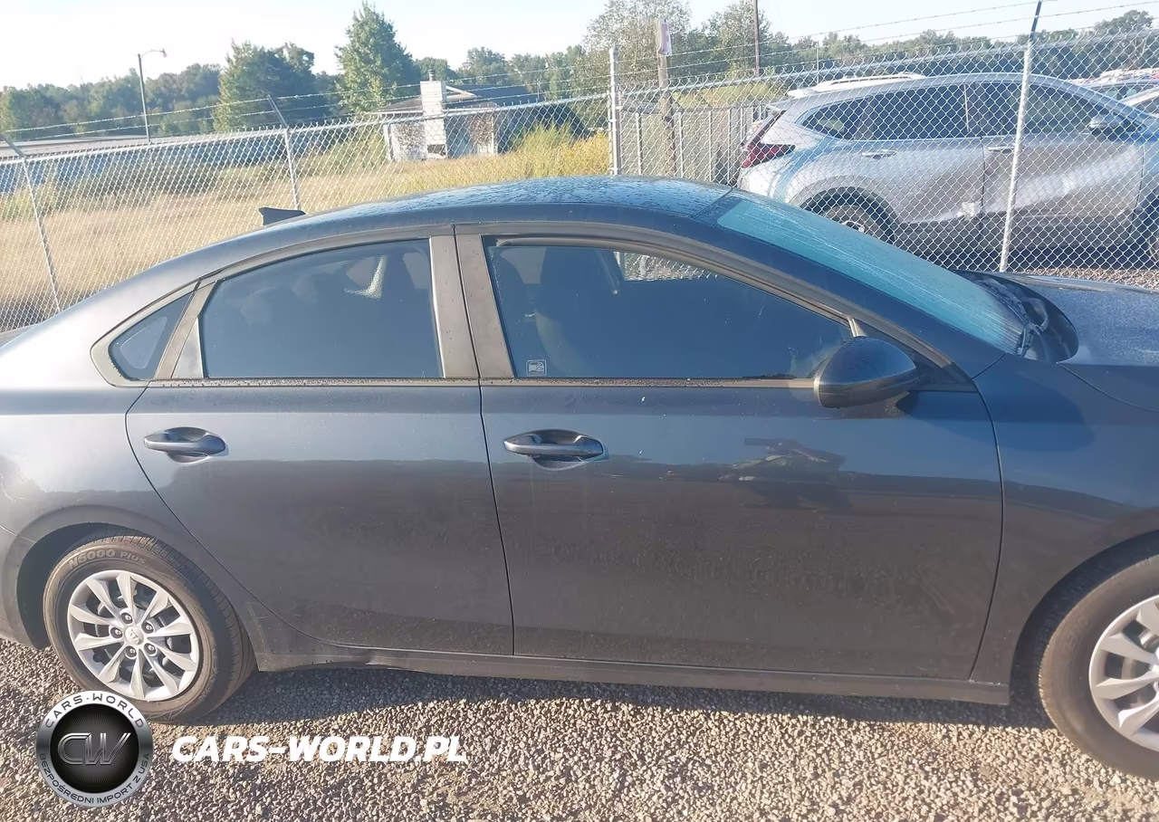 2019 Kia Forte Fe VIN:3KPF24AD2KE027336 - 13