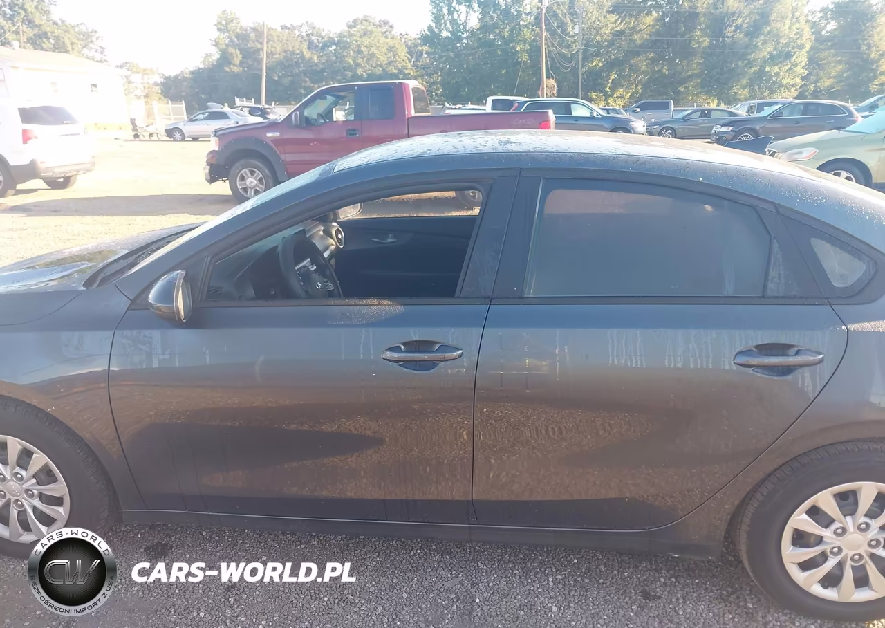 2019 Kia Forte Fe VIN:3KPF24AD2KE027336 - 14