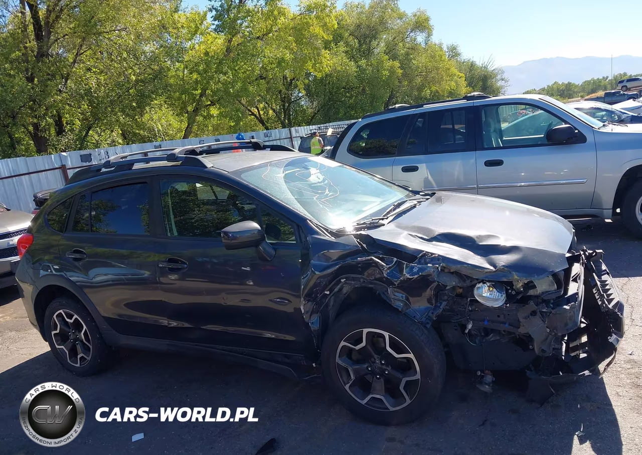 2015 Subaru Xv Crosstrek 2.0I Premium VIN:JF2GPAFC0F8314051 - 13