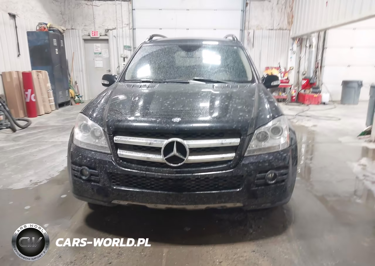 2008 Mercedes-Benz Gl 450 4Matic VIN:4JGBF71E58A411163 - 12
