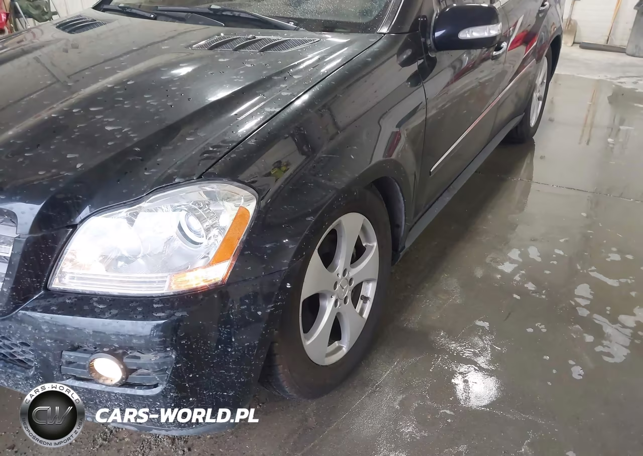 2008 Mercedes-Benz Gl 450 4Matic VIN:4JGBF71E58A411163 - 6