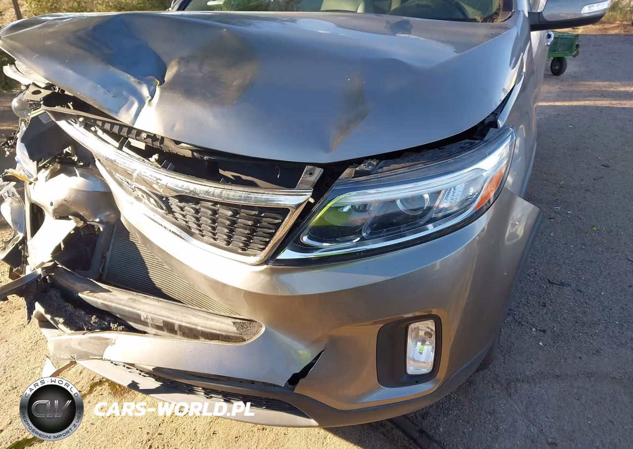2014 Kia Sorento Lx VIN:5XYKT3A61EG535988 - 6