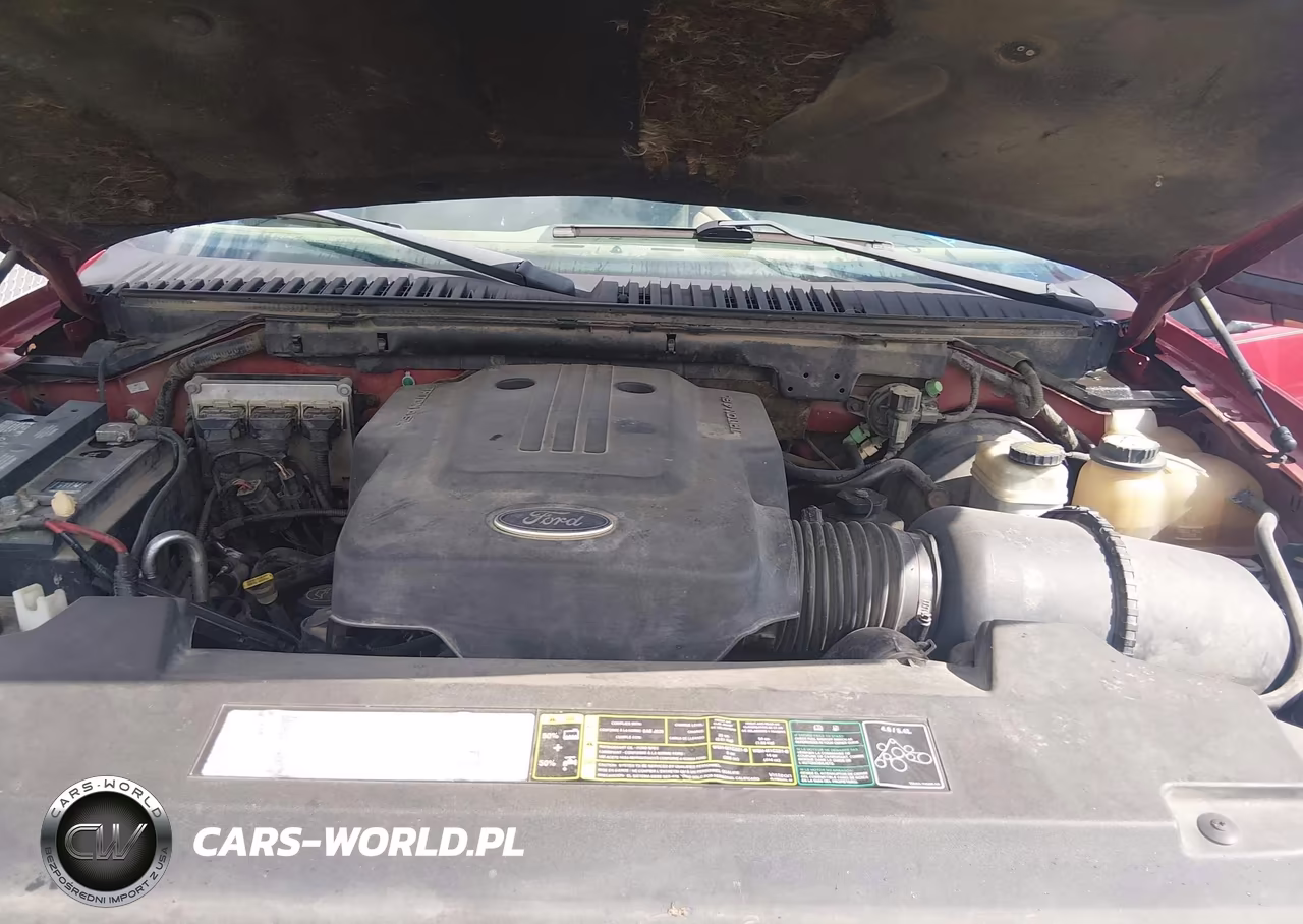 2003 Ford Expedition Xlt VIN:1FMEU15W23LB22838 - 10