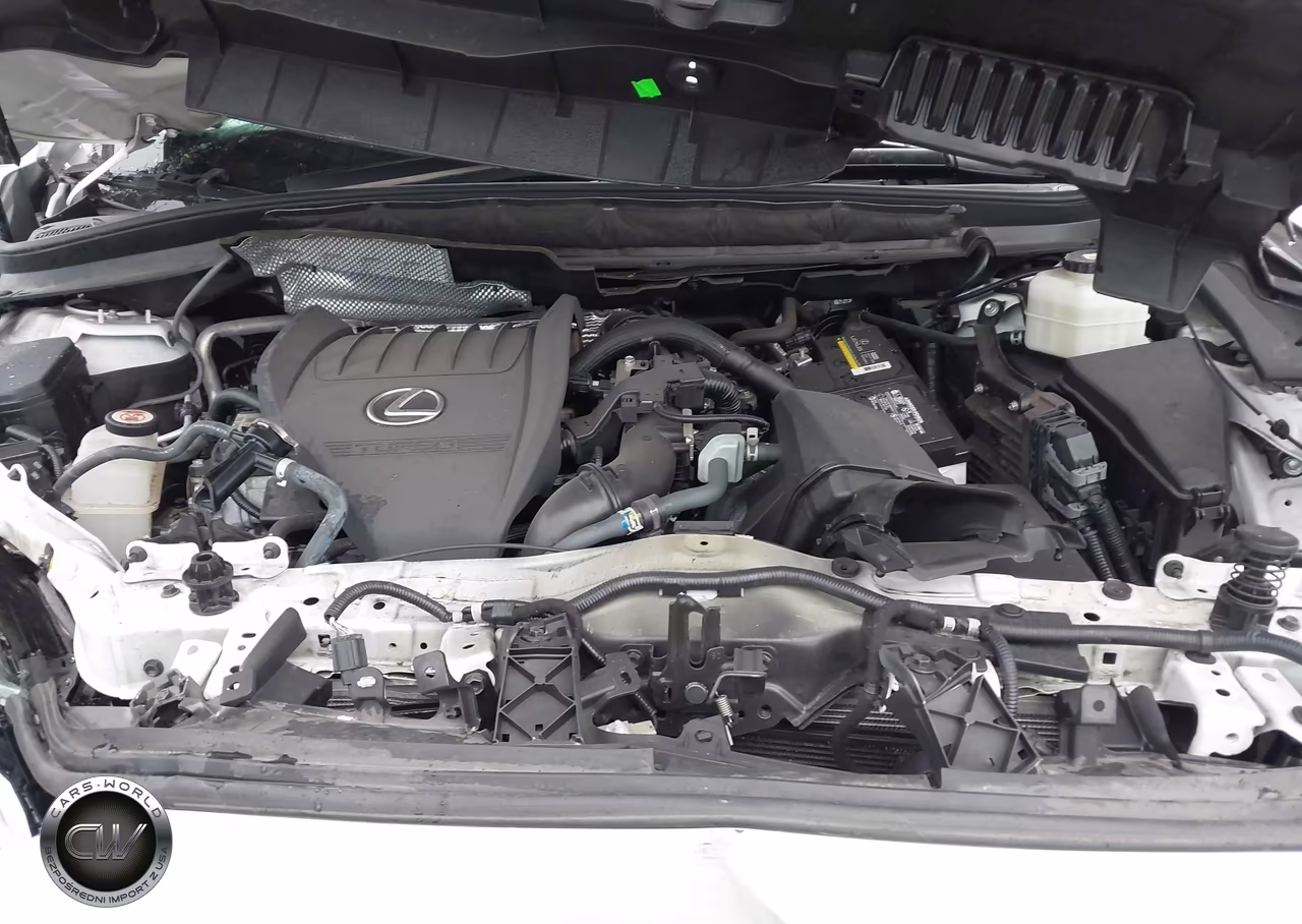 2023 Lexus Rx 350 Premium Plus VIN:2T2BAMBAXPC012459 - 10