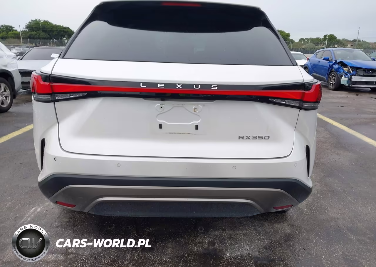2023 Lexus Rx 350 Premium Plus VIN:2T2BAMBAXPC012459 - 17