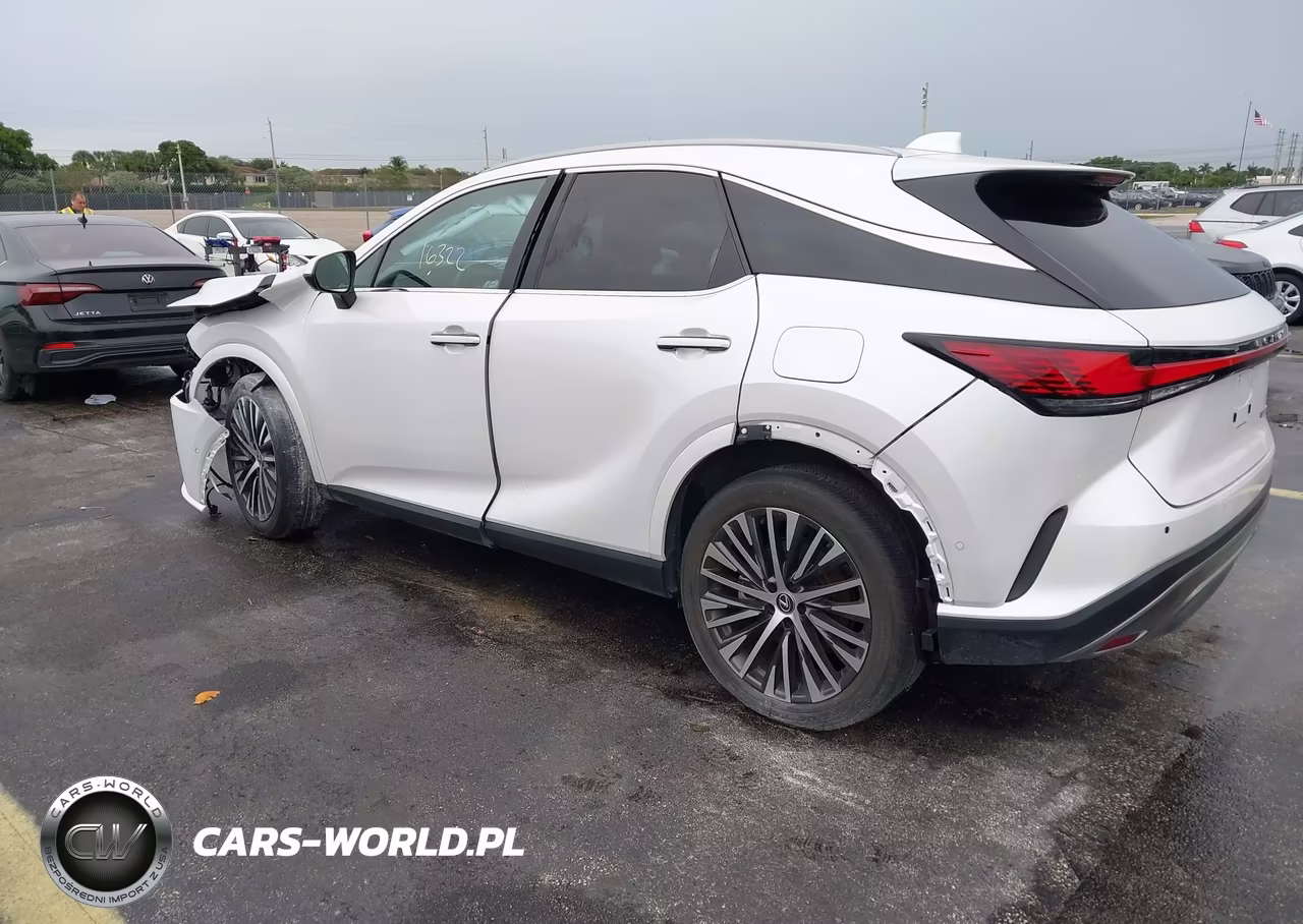 2023 Lexus Rx 350 Premium Plus VIN:2T2BAMBAXPC012459 - 3
