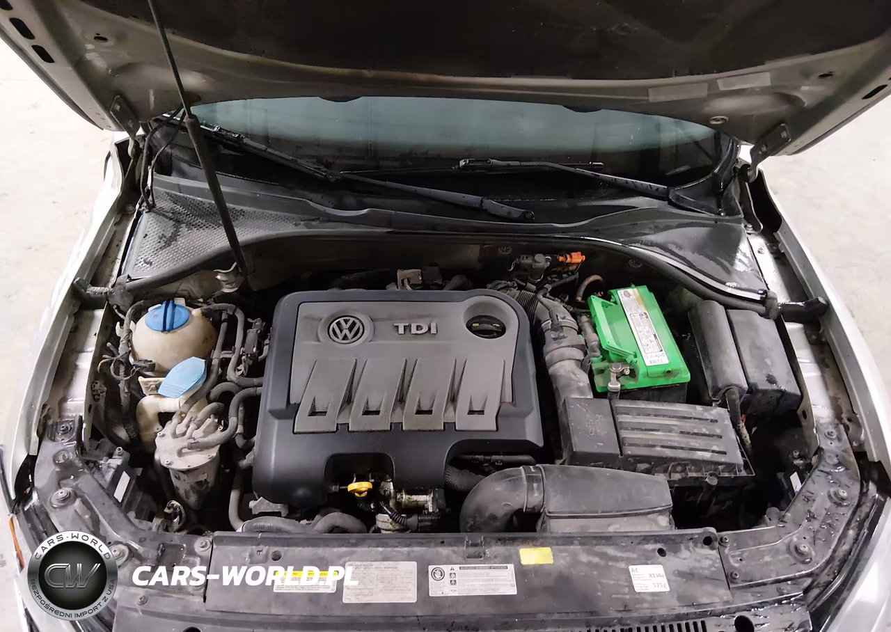 2014 Volkswagen Passat 2.0L Tdi Sel Premium VIN:1VWCN7A37EC059047 - 10